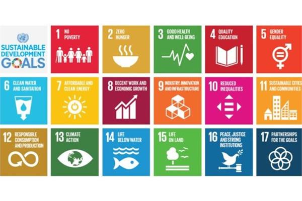 The sustainability steps of Sun Chemical