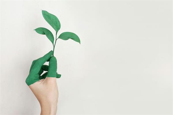 A human hand partially painted green and holding a small plant